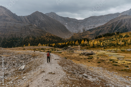 Adventurous man/hiker hiking Mount Arenthusa trail in Kananaskis Country, Alberta, Canada. Golden larches trees, seasonal landscape view.