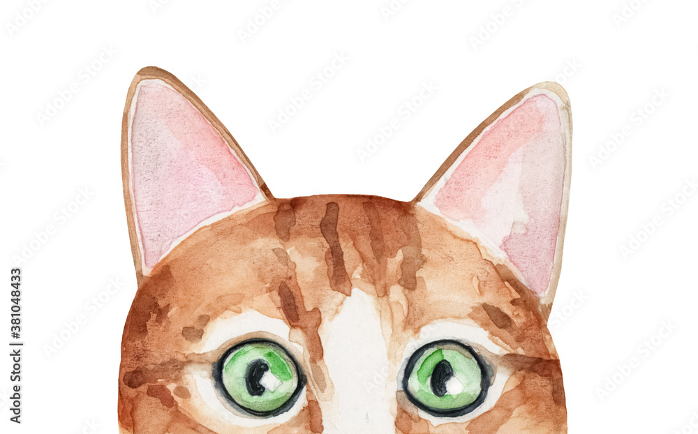 Watercolour illustration of cute funny kitten curiously peeking out from behind white background. Hand painted water color graphic drawing, cut out clip art element for creative design decoration.