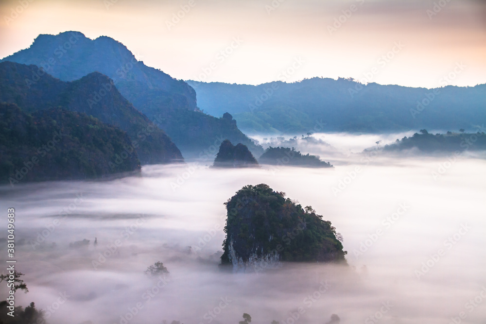 misty morning in the mountain at Phu Langka in Thailand misty morning in the mountain at Phu Langka in Thailand