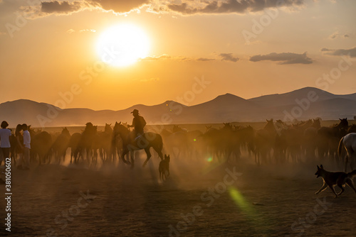 Western cowboy riding horses with dog in cloud of dust in the sunset © attraction art