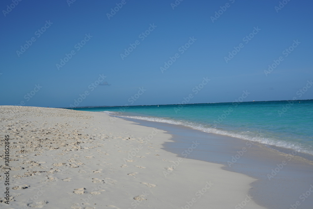 カリブ海の美しい無人のビーチ