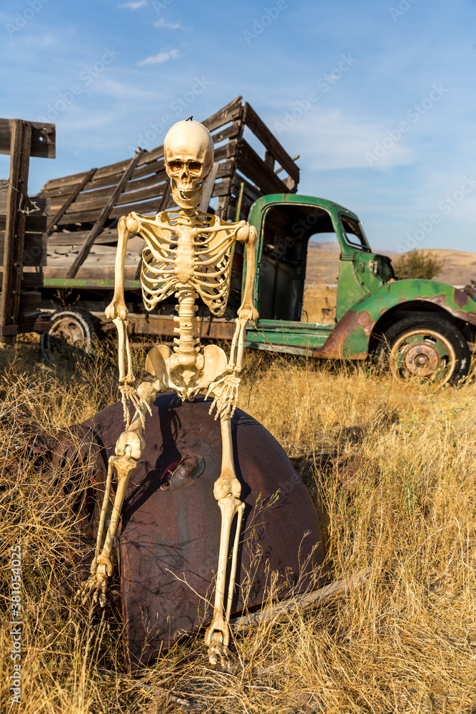 Obraz premium Skeleton sitting on an old truck bed in a dead grass field