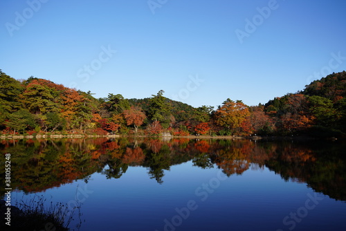 神戸市 再度公園の鏡池と紅葉