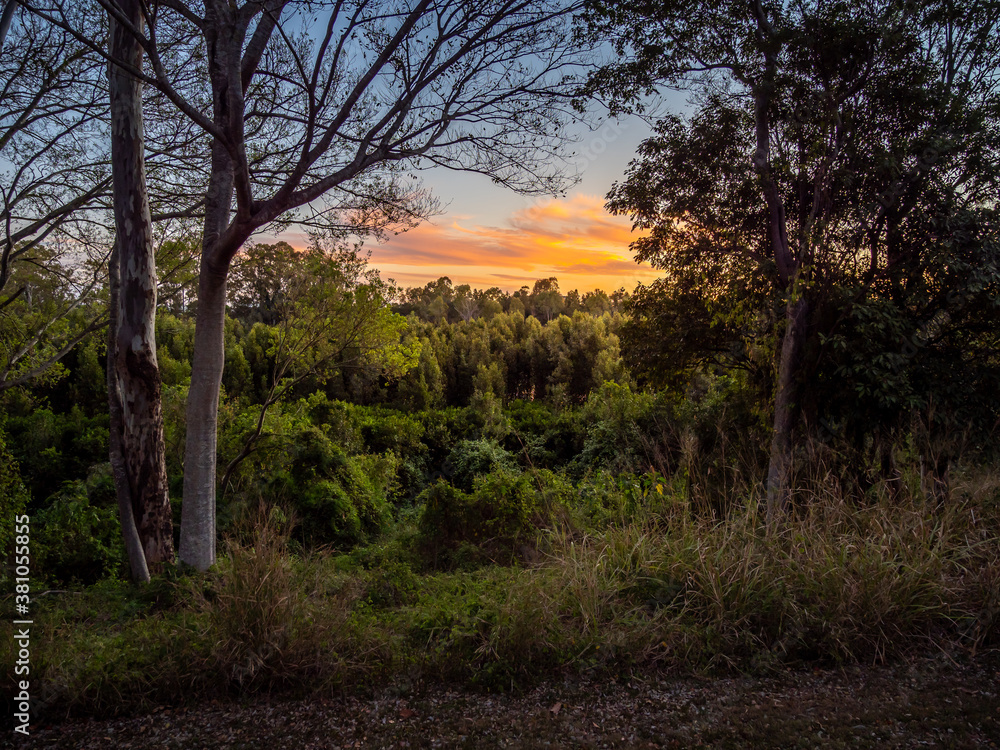 Colourful Sunset Cloud Framed by Trees Colourful Sunset Cloud Framed by Trees
