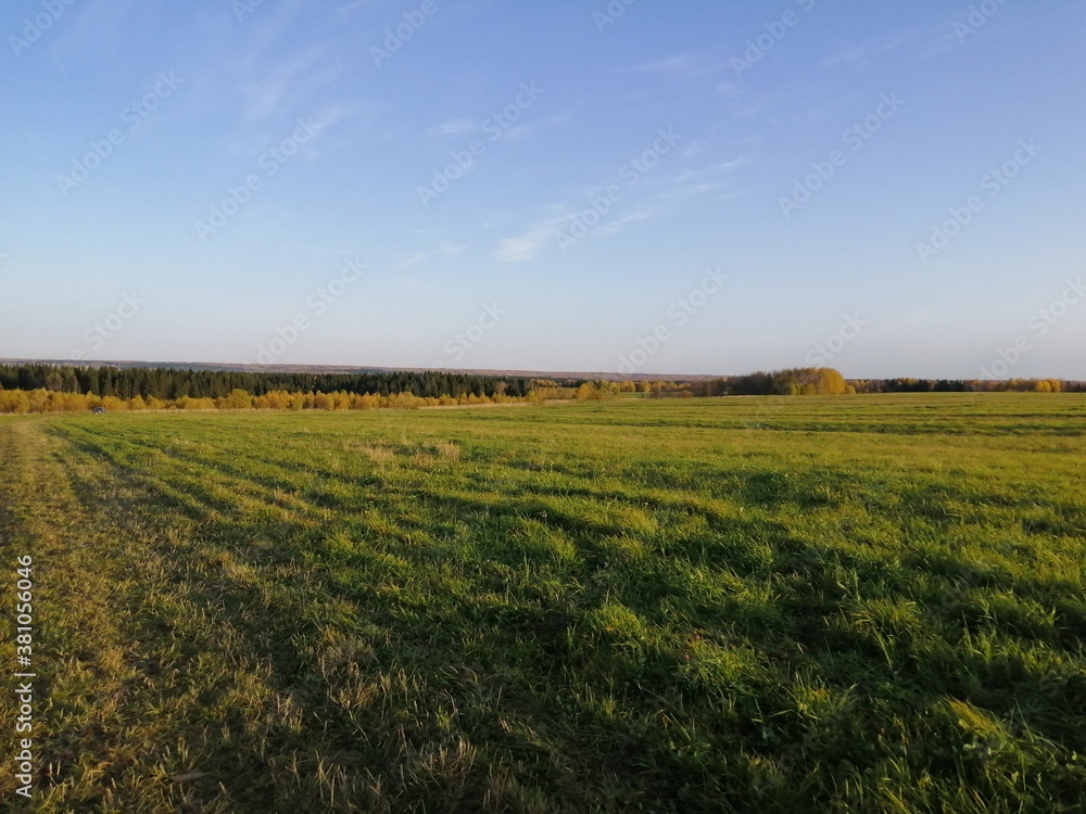 field and blue sky