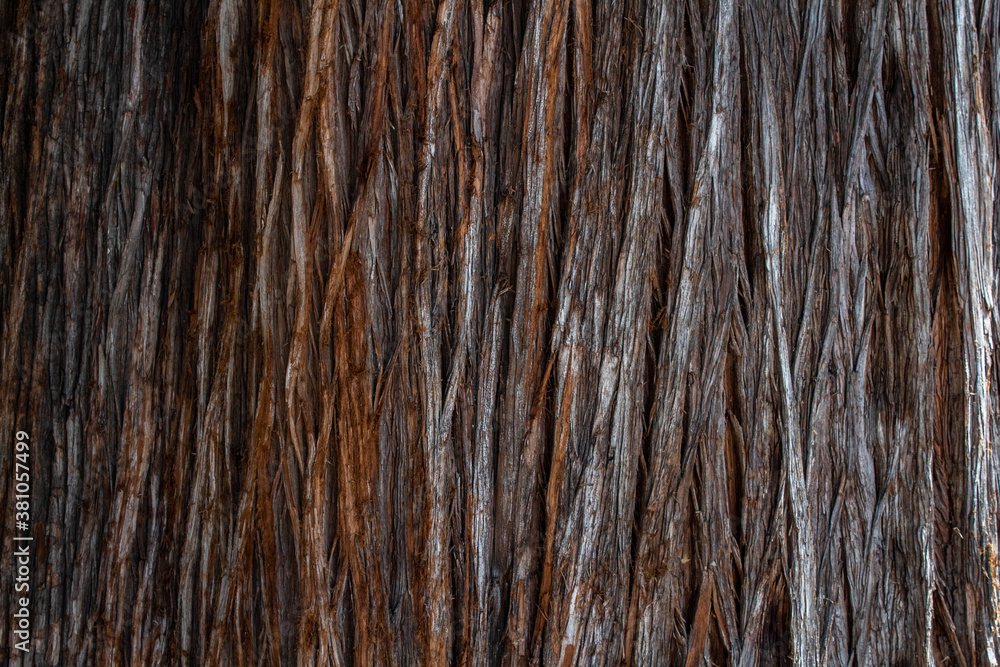 Textura Textura