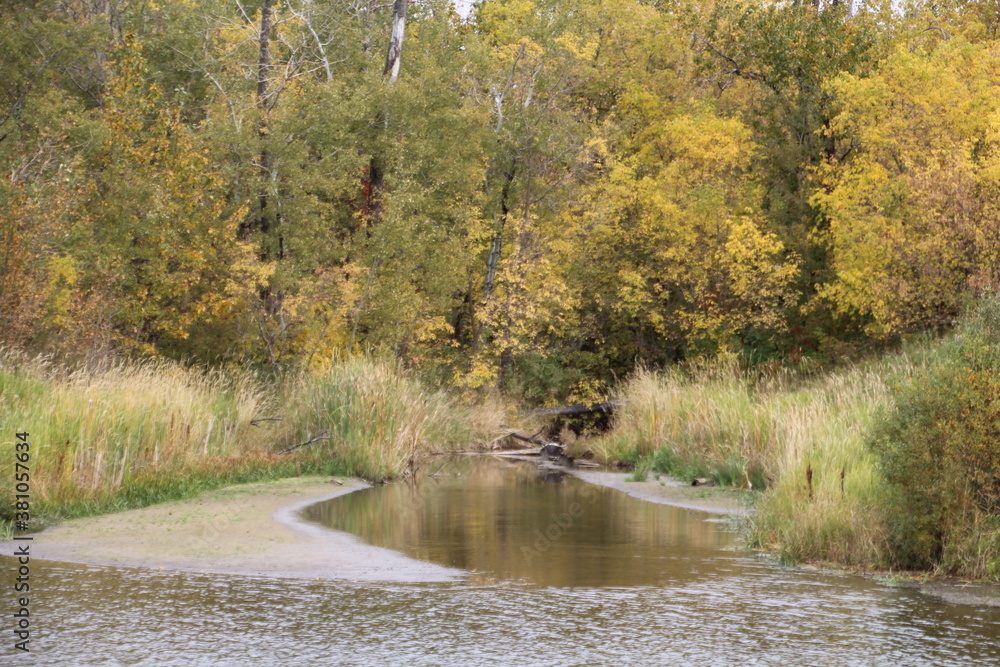 Colours Along The Water, Pylypow Wetlands, Edmonton, Alberta Colours Along The Water, Pylypow Wetlands, Edmonton, Alberta