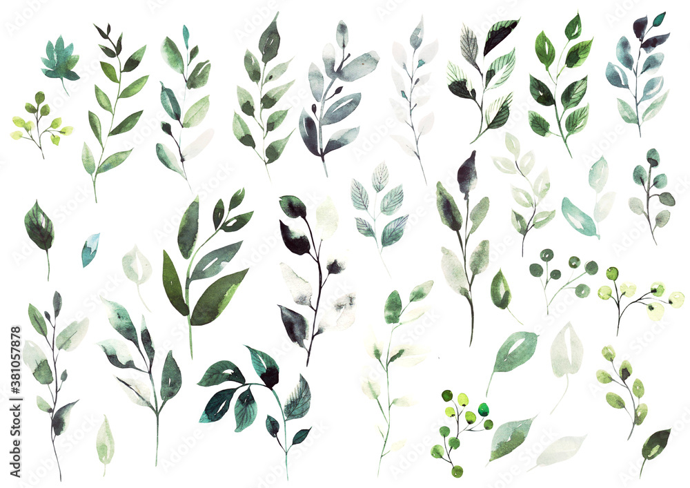 Watercolor elements  different green leaves.