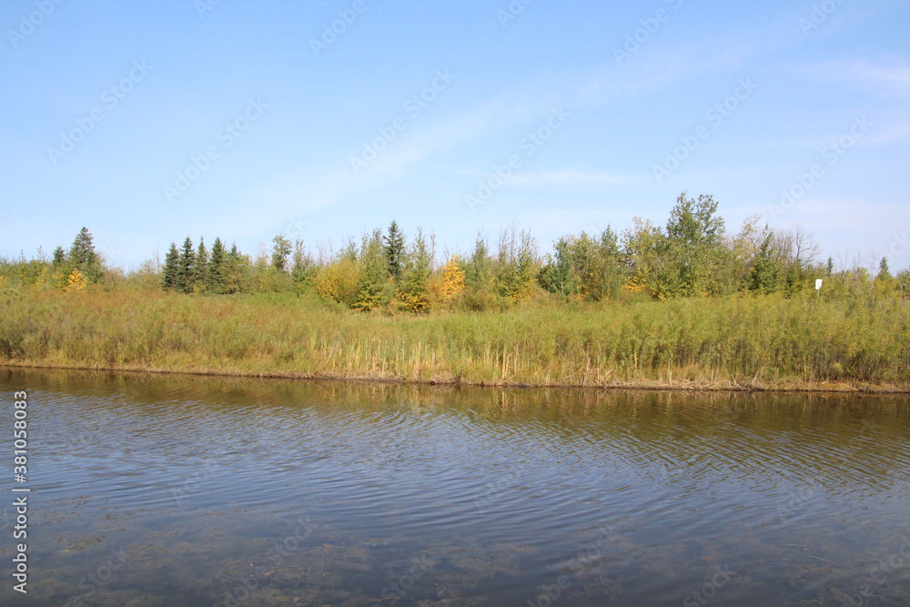 First Colours By The Water, Pylypow Wetlands, Edmonton, Alberta First Colours By The Water, Pylypow Wetlands, Edmonton, Alberta