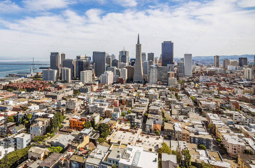 Fototapeta premium City of San Francisco downtown skyline. Skyscapers in USA. Sunny day in City SF