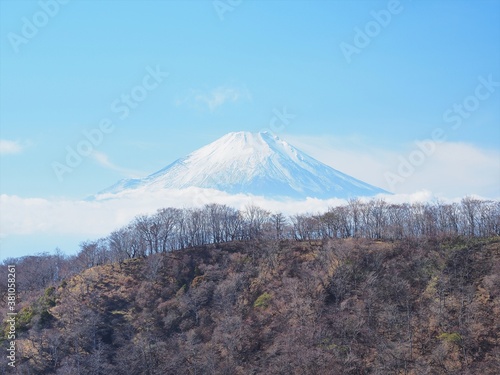 神奈川県･塔ノ岳より望む富士山