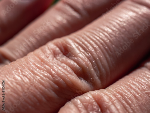 close up of a hand of a person