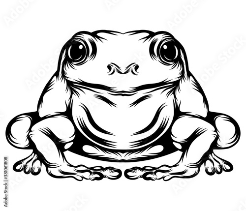 The frog with his full body