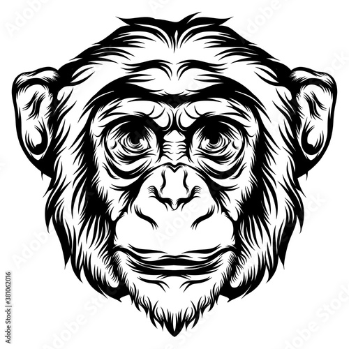 Canvas Print The monkey for the tattoo animal ideas