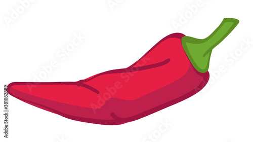 Hot chili pepper, mexican cayenne ingredient for cooking