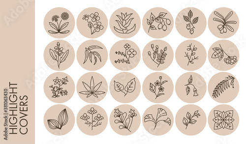 Highlights covers floral ornaments, herbs and flowers in circles