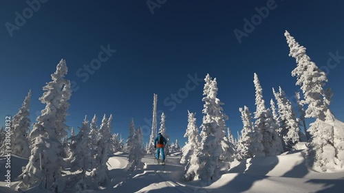 skitur among mystical Christmas trees against the background of bright sun and snow-covered big cell tower photo