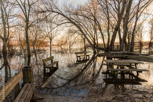 Surreal view of benches and trees perfectly reflecting on water after a flood near Trasimeno lake (Umbria, Italy)