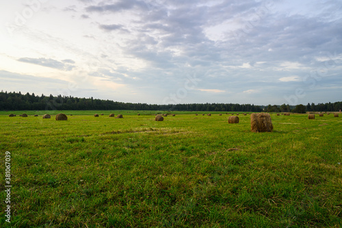 green field with haystacks in the Russian countryside