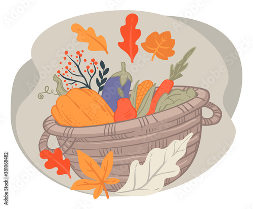 Basket with harvested vegetables, autumn pumpkin and aubergines