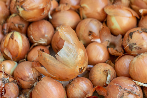 Onions. Fresh. Background. Ripe. Onion in market