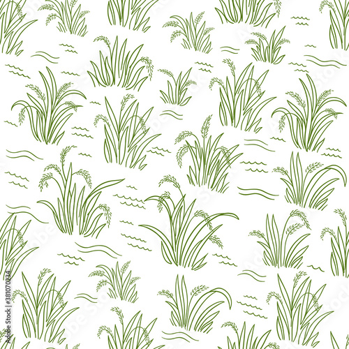 Rice field. Green grass. Seamless pattern. Wrapper background. Agriculture harvest. Cereal grain. Oryza sativa plant. Contour line vector.