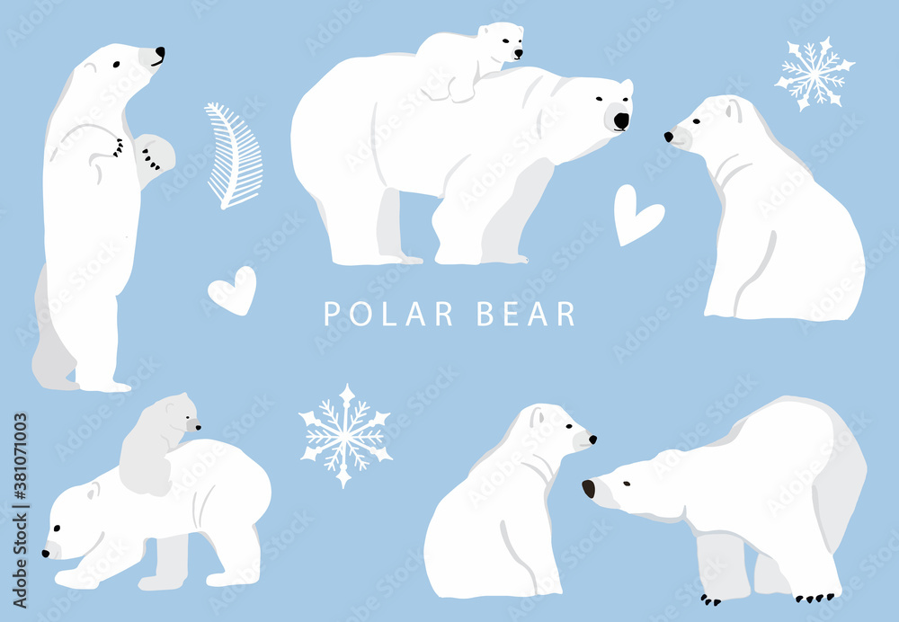 Fototapeta premium Simple white bear character.Vector illustration character doodle cartoon