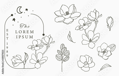 Beauty occult logo collection with geometric,magnolia,moon,star,flower.Vector illustration for icon,logo,sticker,printable and tattoo