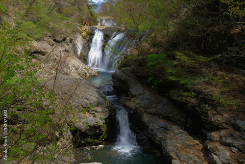 Fototapeta Naklejka Na Ścianę i Meble -  春が訪れた滝の風景-　日本、長野県、多留姫の滝
