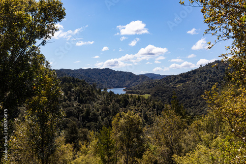 Картината върху платно A glimpse of Wairoa Reservoir, Hunua Ranges