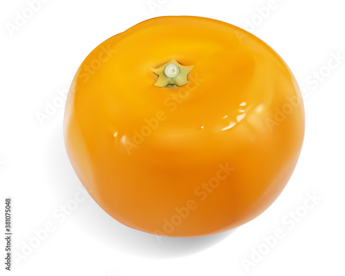みかん/マンダリンオレンジ/透明背景
