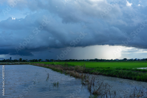 Heavy rain pouring near rice field in the countryside in the evening , Thailand