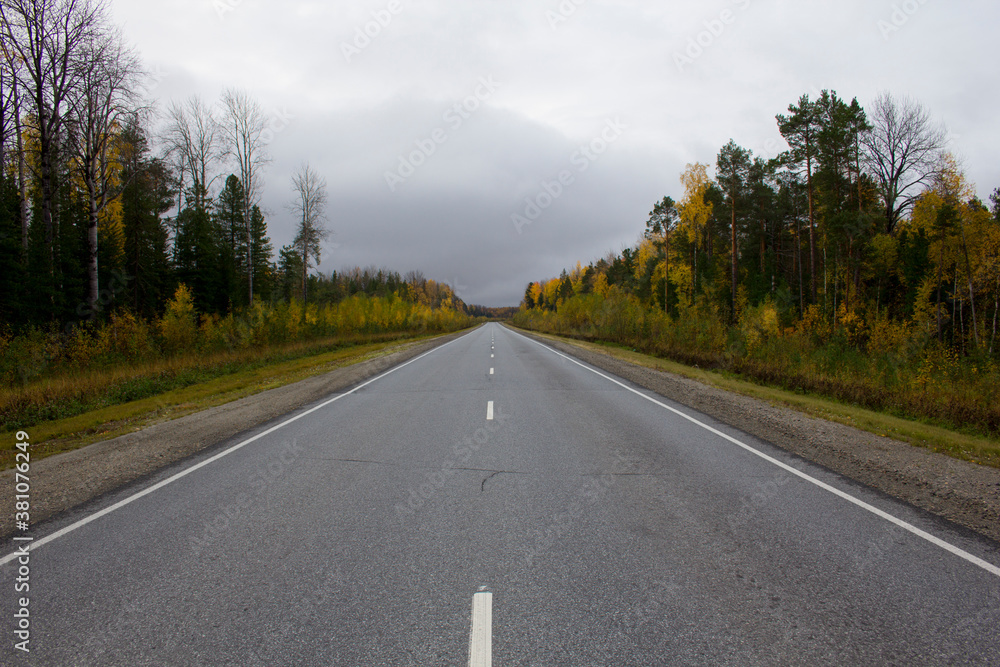 A straight two-lane road goes through an autumn forest under a gray sky A straight two-lane road goes through an autumn forest under a gray sky