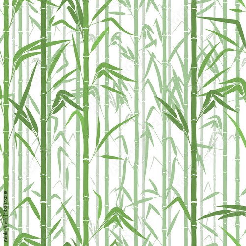 Fototapeta Naklejka Na Ścianę i Meble -  Bamboo forest. Monochrome seamless pattern. Vector illustration on white background. Texture or pattern for Wallpaper, fabrics, wrapping paper in an eco - friendly theme.
