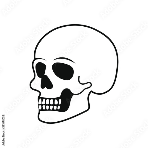 Human skull isolated on white.