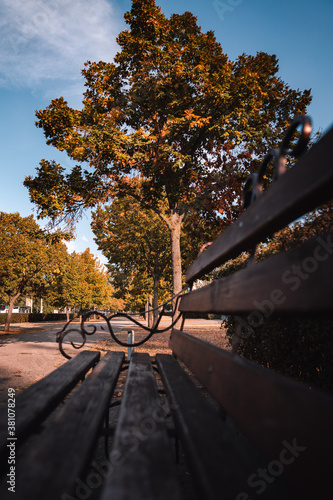 Bench in the autumn park photo