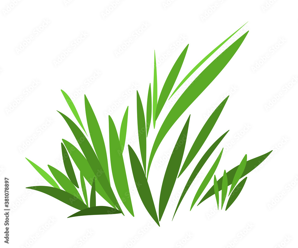 Obraz premium Simple stylized green grass