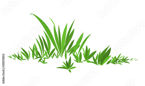 Fototapeta Naklejka Na Ścianę i Meble -  Simple stylized green grass