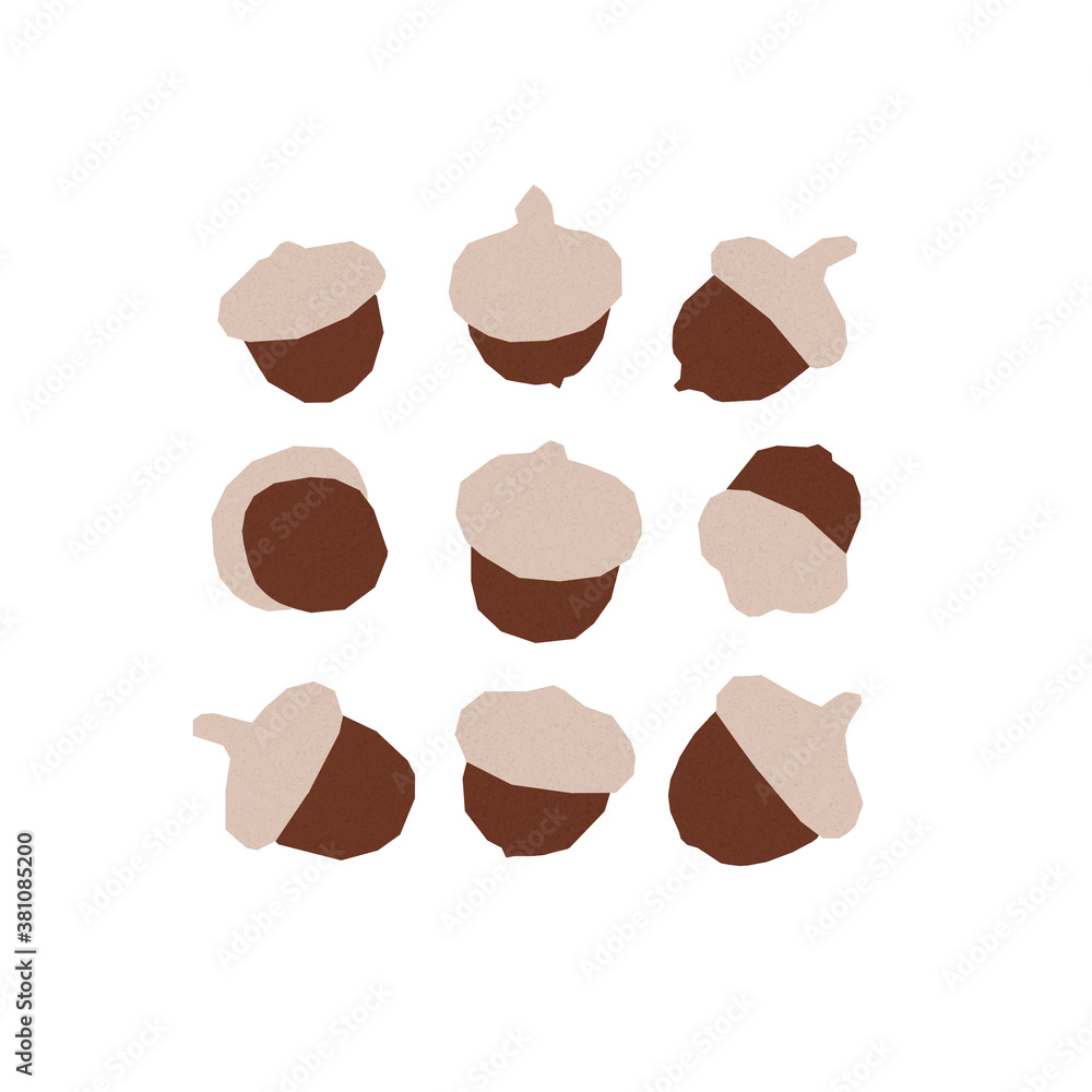 Set of paper-cut like brown acorns on the white background. Autumn season raster textured illustration