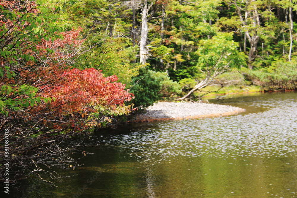 初秋の北八ヶ岳 北横岳 静寂の中の七ツ池 初秋の北八ヶ岳 北横岳 静寂の中の七ツ池
