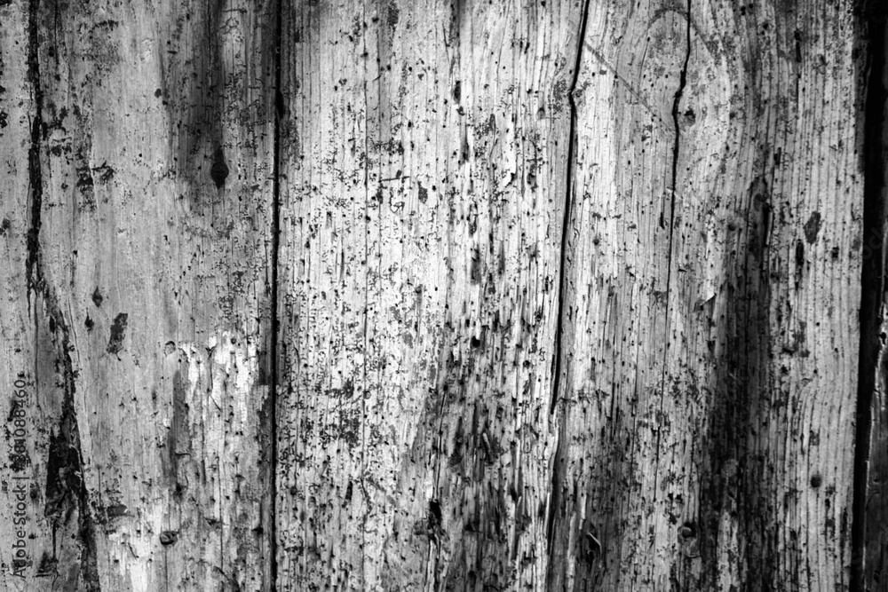 Fototapeta premium evocative black and white image of texture of old vertical wooden planks