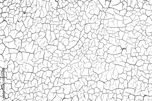 Crackle paint overlay. Vector black and white  grunge pattern made from natural oil paint crackle. Cool texture of cracks, stains, scratches, splash, etc for print and design. EPS10. photo