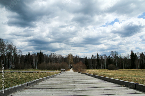The picture from the protected area in Czech Republic called "Chalupská slať" (Hut peat bog) at Šumava national park. The wooden pathways lead over the peat bogs among the birches.  © shootingtheworld