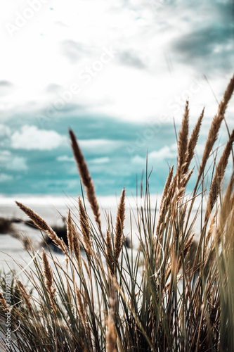 Nordsee Insel Juist