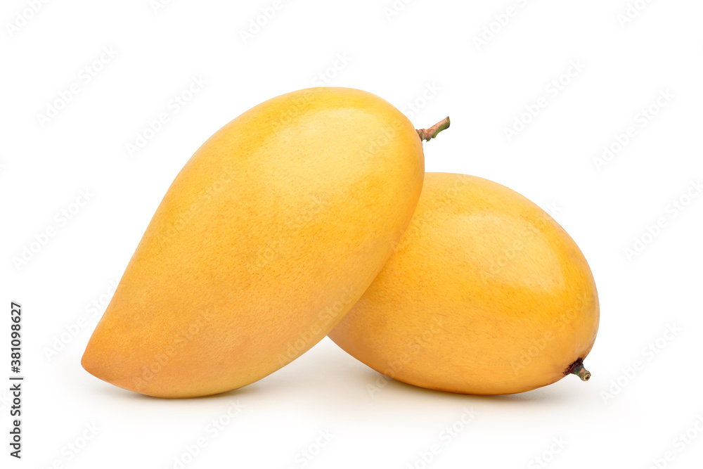 Two ripe mangoes isolated on white background. Clipping path.
