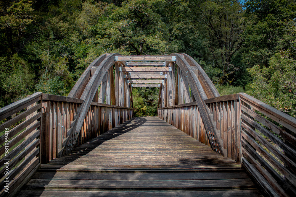 Fototapeta premium Saint Miguel bridge, in albergaria forest, portugal