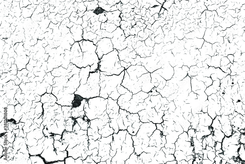 Crackle paint overlay. Vector black and white grunge pattern made from