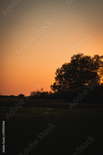 Fototapeta Naklejka Na Ścianę i Meble -  Colorful sunset in the countryside