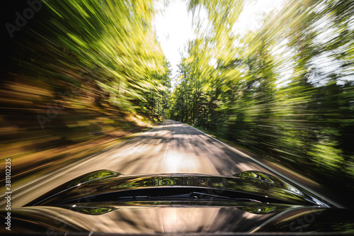 Schnelle Fahrt durch den Wald 2