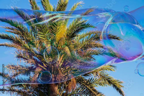 Big soap bubbles on the background of palm trees and on the blue sky